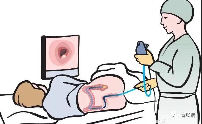 “胃”你好嗎？“腸”來(lái)看看！