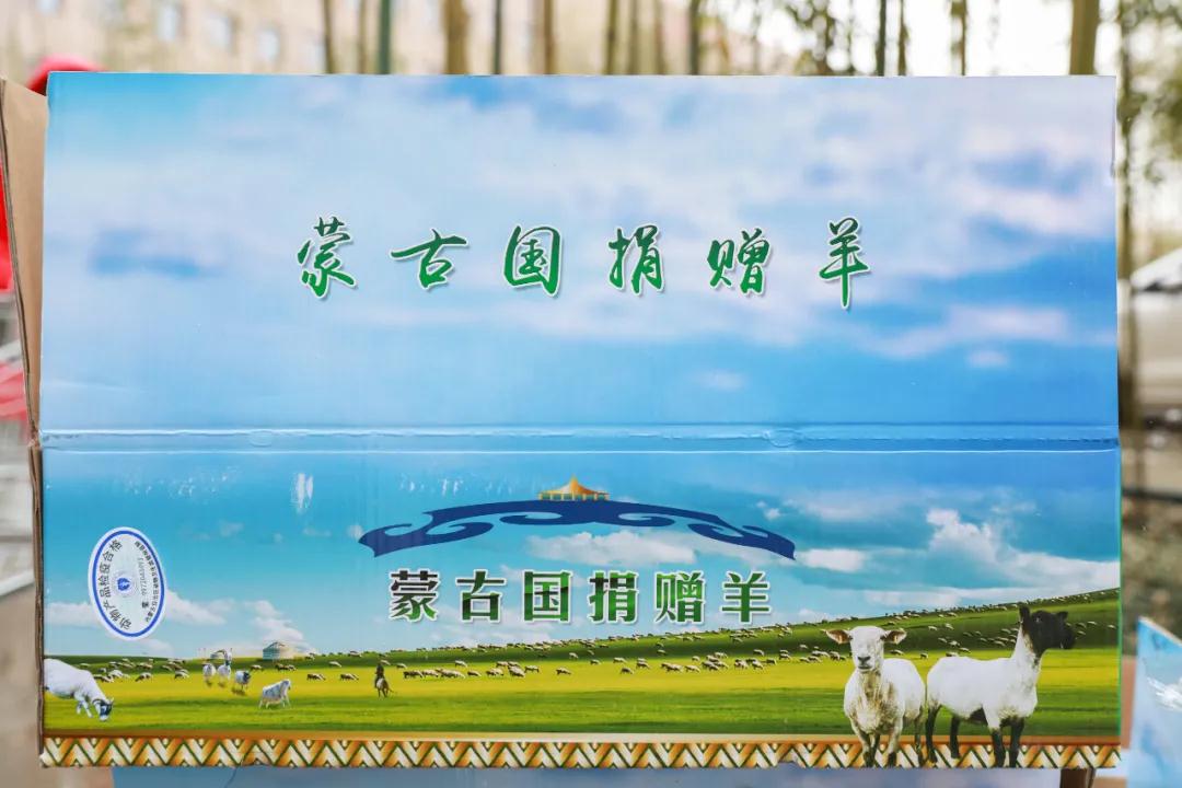 援鄂醫(yī)療隊：“暖羊羊”來啦！