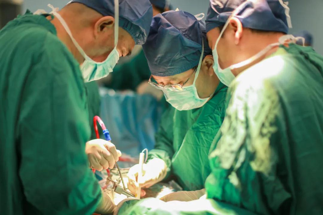 世界首例！我院骨科完成高難度、高科技3D打印可動(dòng)人工頸椎-椎間盤復(fù)合體植入術(shù)