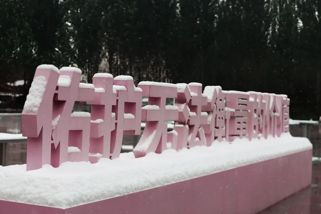 冬日限定｜國醫初雪