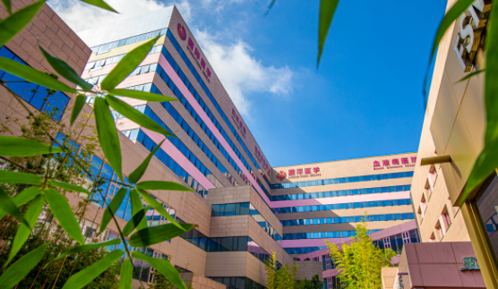 國醫四味：竹林、紫杉、桂花、銀杏，還有那……