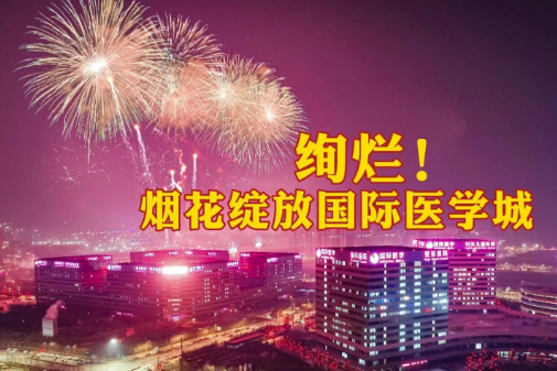 絢爛！煙花綻放國際醫學城