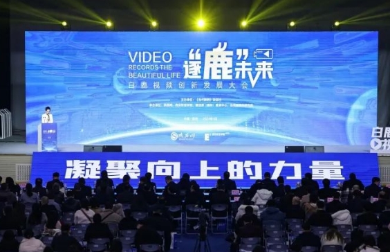 我院短視頻創作經驗在白鹿視頻創新發展大會上分享